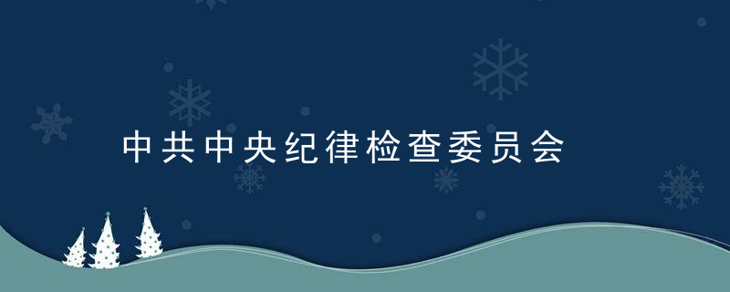 中共中央纪律检查委员会是什么意思