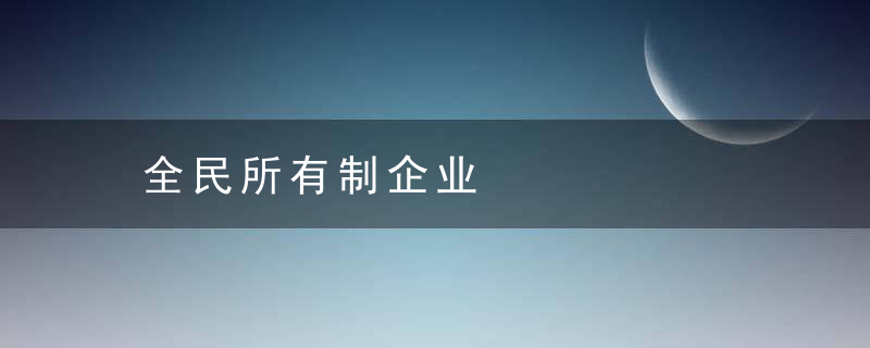 全民所有制企业是什么意思