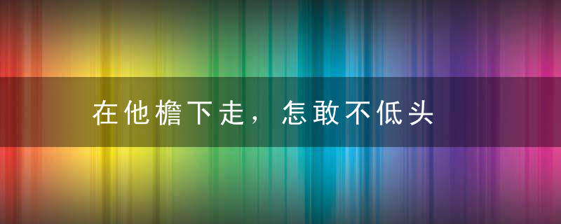 在他檐下走，怎敢不低头是什么意思