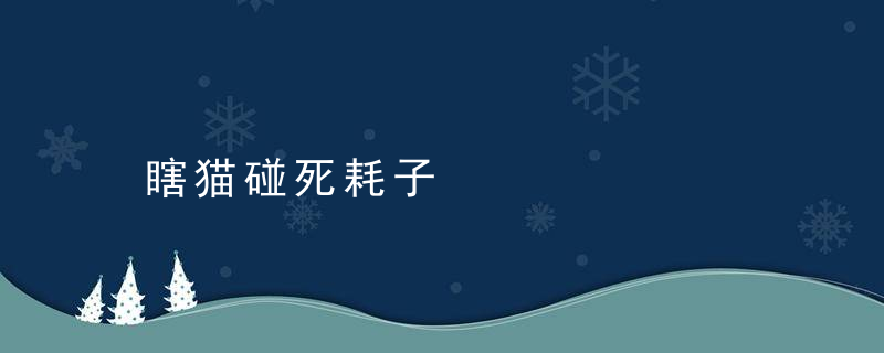 瞎猫碰死耗子是什么意思