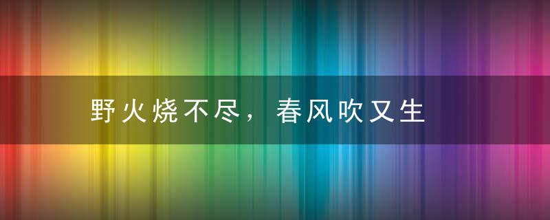 野火烧不尽，春风吹又生是什么意思