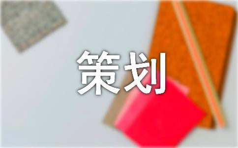 方案策划