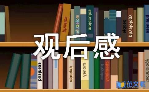 《忠犬八公的故事》观后感(集合15篇)