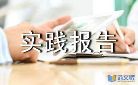 社会实践报告模板汇编5篇